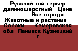 Русский той-терьер длинношерстный › Цена ­ 7 000 - Все города Животные и растения » Собаки   . Кемеровская обл.,Ленинск-Кузнецкий г.